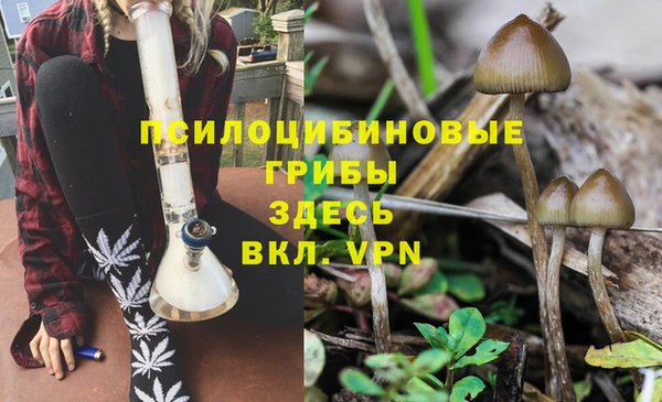 2c-b Алзамай