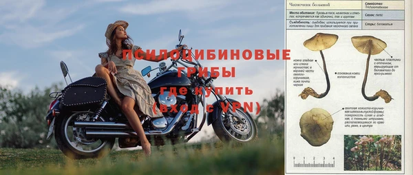 2c-b Алзамай